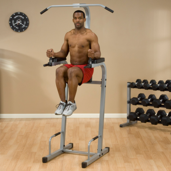 PowerLine Vertical Knee Raise and Dip Station