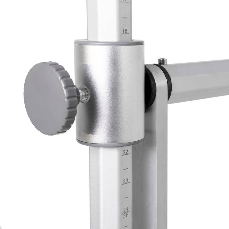 Elina Pilates Reformer Master Instructor Fisio with Tower