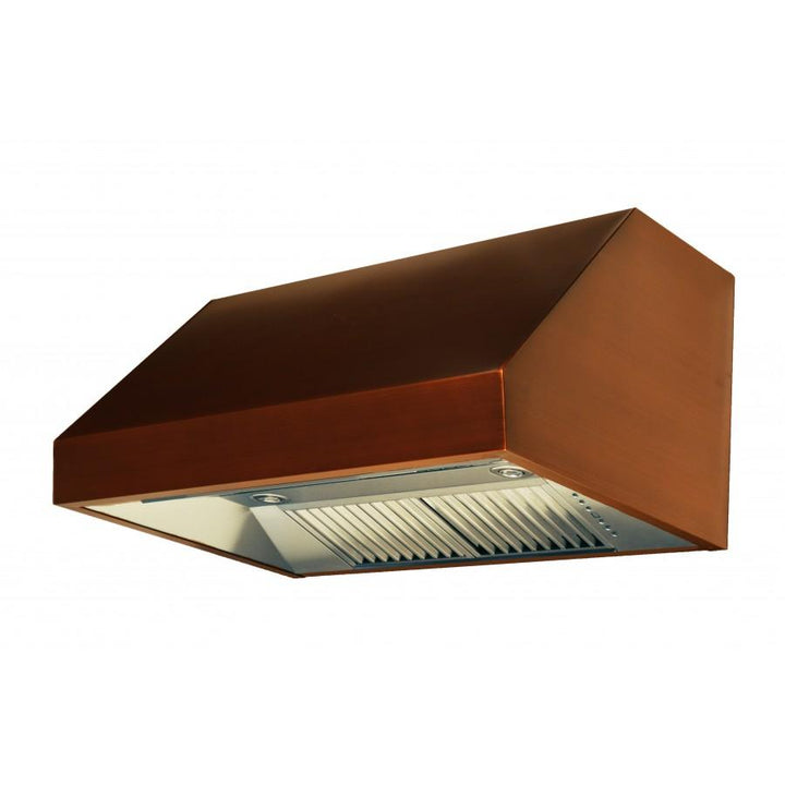 ZLINE Designer Series Under Cabinet Range Hood (8685C)