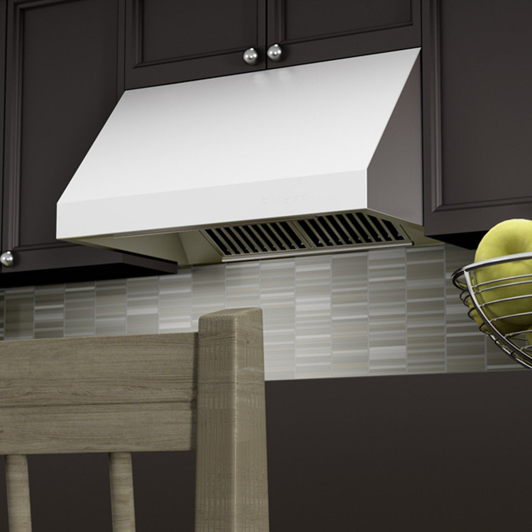 ZLINE Under Cabinet Range Hood in Stainless Steel (685)