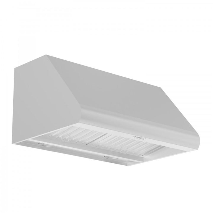 ZLINE Kitchen and Bath, ZLINE Under Cabinet Range Hood In Stainless Steel (527), 527-30,